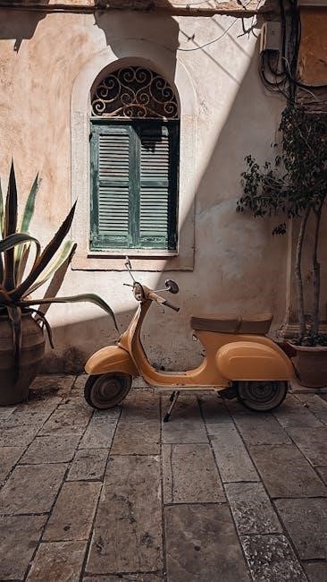gogo scooter manual