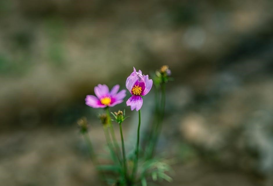 chinese diesel heater manual pdf free download