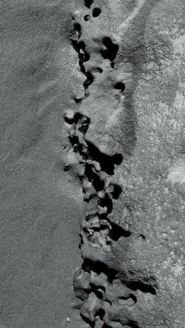 accolades secondaire 3 corrigé pdf gratuit